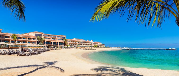 PLAYA-palmeras